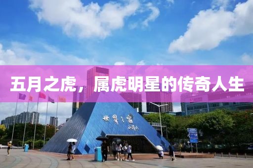 五月之虎，屬虎明星的傳奇人生