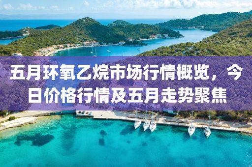 五月環(huán)氧乙烷市場(chǎng)行情概覽，今日價(jià)格行情及五月走勢(shì)聚焦