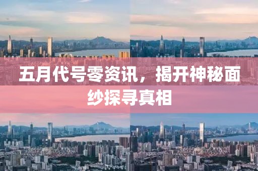 五月代號零資訊，揭開神秘面紗探尋真相