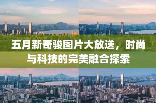五月新奇駿圖片大放送，時(shí)尚與科技的完美融合探索
