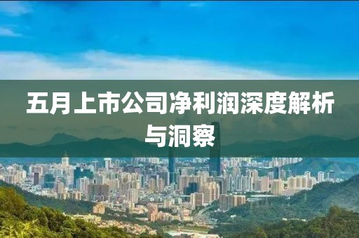 五月上市公司凈利潤深度解析與洞察