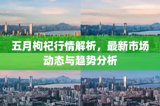 五月枸杞行情解析，最新市場動態(tài)與趨勢分析