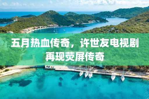 五月熱血傳奇，許世友電視劇再現(xiàn)熒屏傳奇