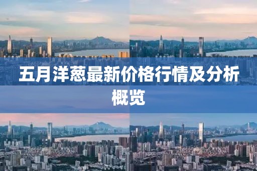 五月洋蔥最新價(jià)格行情及分析概覽