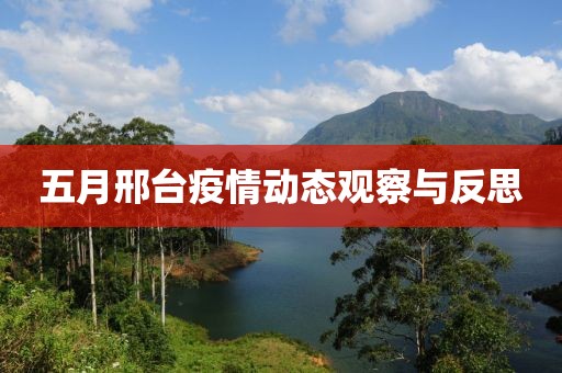 五月邢臺疫情動態(tài)觀察與反思