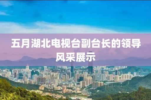 五月湖北電視臺副臺長的領(lǐng)導(dǎo)風(fēng)采展示