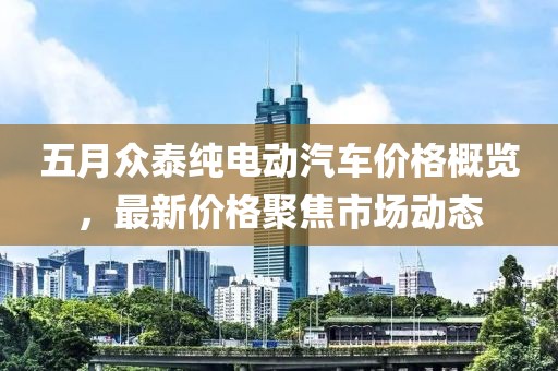 五月眾泰純電動汽車價格概覽，最新價格聚焦市場動態(tài)