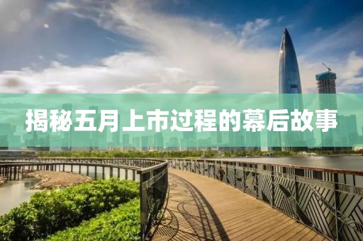 揭秘五月上市過程的幕后故事