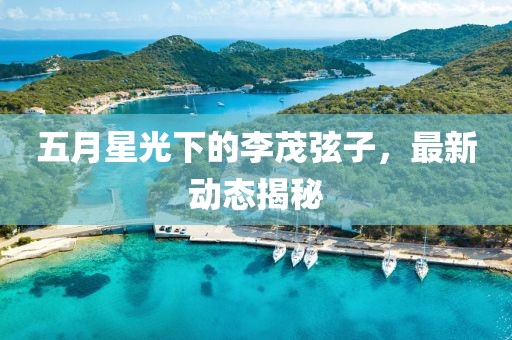五月星光下的李茂弦子，最新動(dòng)態(tài)揭秘