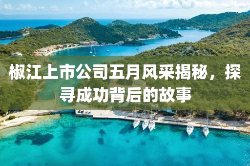 椒江上市公司五月風(fēng)采揭秘，探尋成功背后的故事