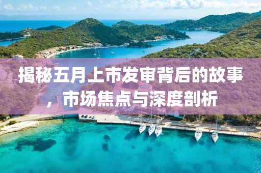 揭秘五月上市發(fā)審背后的故事，市場(chǎng)焦點(diǎn)與深度剖析