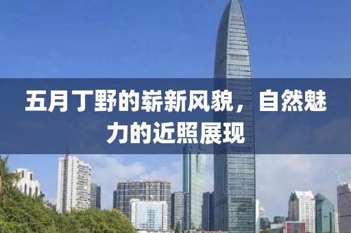 五月丁野的嶄新風(fēng)貌，自然魅力的近照展現(xiàn)