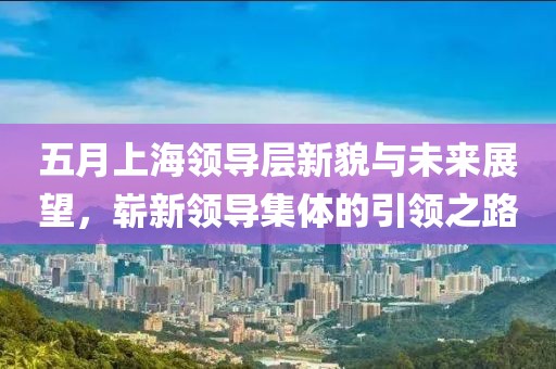 五月上海領(lǐng)導層新貌與未來展望，嶄新領(lǐng)導集體的引領(lǐng)之路