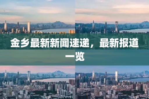金鄉(xiāng)最新新聞速遞，最新報道一覽