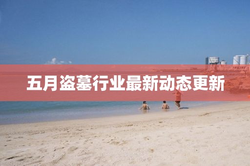 五月盜墓行業(yè)最新動態(tài)更新