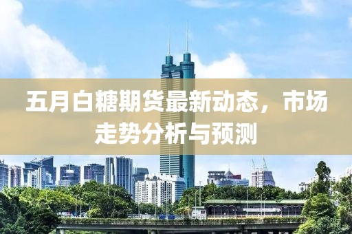 五月白糖期貨最新動態(tài)，市場走勢分析與預(yù)測