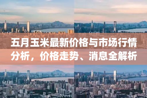 五月玉米最新價格與市場行情分析，價格走勢、消息全解析