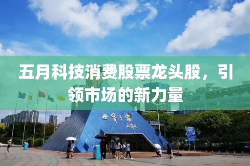 五月科技消費股票龍頭股，引領(lǐng)市場的新力量