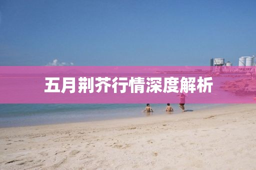五月荊芥行情深度解析