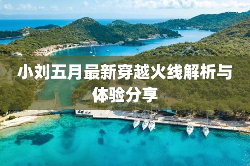 小劉五月最新穿越火線解析與體驗(yàn)分享