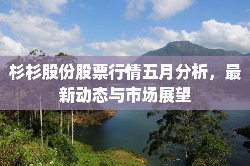 杉杉股份股票行情五月分析，最新動態(tài)與市場展望