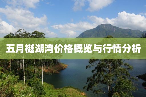五月樾湖灣價格概覽與行情分析