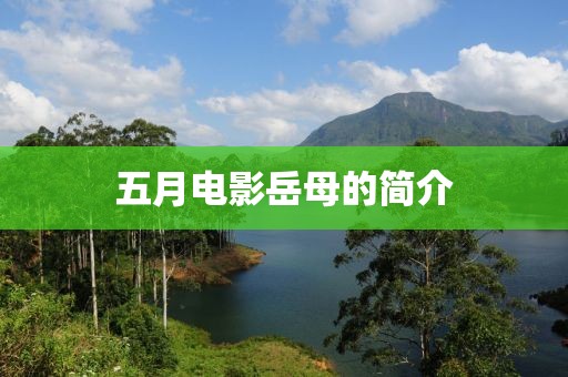 五月電影岳母的簡(jiǎn)介