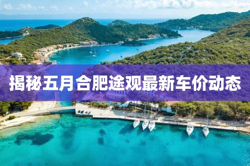 揭秘五月合肥途觀最新車(chē)價(jià)動(dòng)態(tài)