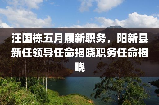 汪國棟五月履新職務(wù)，陽新縣新任領(lǐng)導(dǎo)任命揭曉職務(wù)任命揭曉