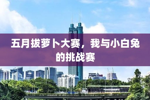 五月拔蘿卜大賽，我與小白兔的挑戰(zhàn)賽