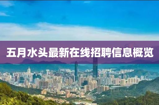 五月水頭最新在線招聘信息概覽