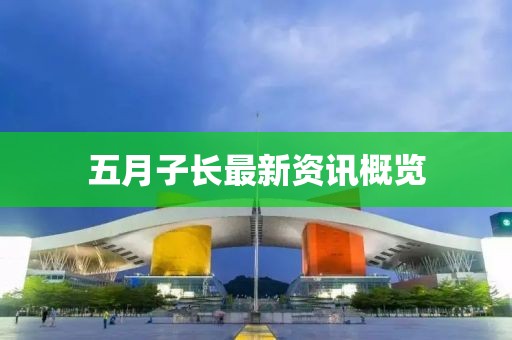 五月子長(zhǎng)最新資訊概覽