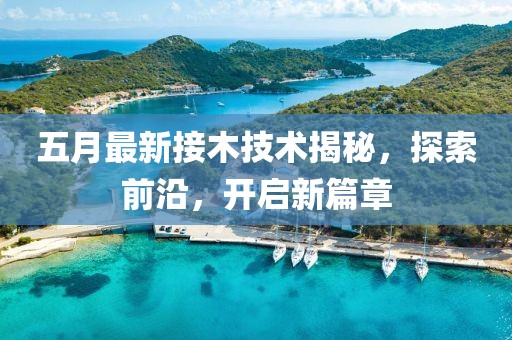 五月最新接木技術(shù)揭秘，探索前沿，開啟新篇章