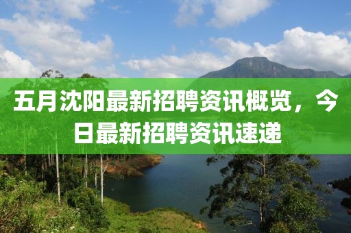 五月沈陽(yáng)最新招聘資訊概覽，今日最新招聘資訊速遞