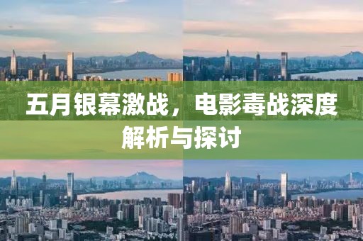 五月銀幕激戰(zhàn)，電影毒戰(zhàn)深度解析與探討