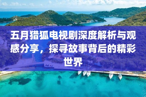 五月獵狐電視劇深度解析與觀感分享，探尋故事背后的精彩世界