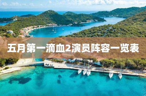 五月第一滴血2演員陣容一覽表