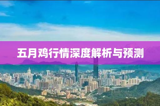 五月雞行情深度解析與預(yù)測