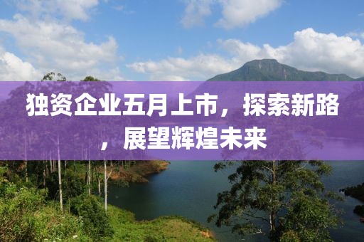獨(dú)資企業(yè)五月上市，探索新路，展望輝煌未來(lái)