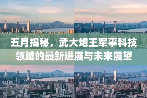 五月揭秘，武大炮王軍事科技領(lǐng)域的最新進展與未來展望