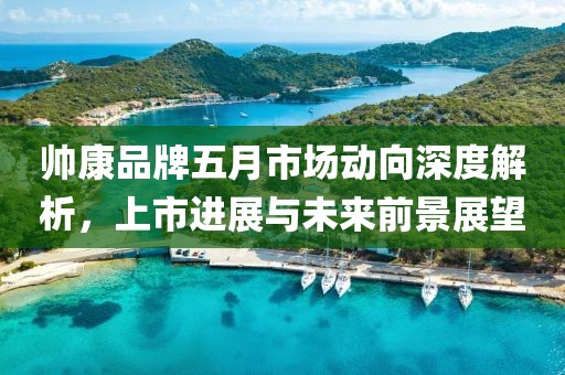 帥康品牌五月市場(chǎng)動(dòng)向深度解析，上市進(jìn)展與未來(lái)前景展望