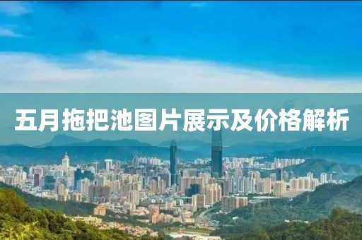 五月拖把池圖片展示及價(jià)格解析