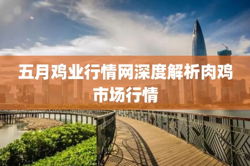 五月雞業(yè)行情網(wǎng)深度解析肉雞市場行情