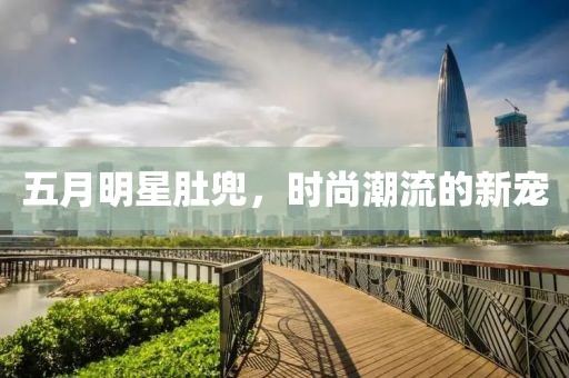 五月明星肚兜，時尚潮流的新寵