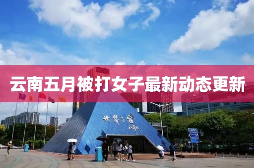 云南五月被打女子最新動態(tài)更新
