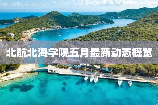 狐小貍