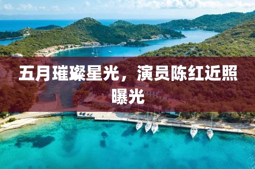 五月璀璨星光，演員陳紅近照曝光