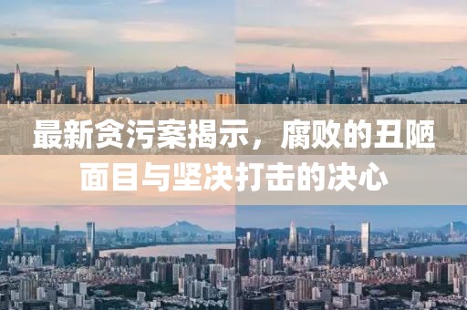 最新貪污案揭示，腐敗的丑陋面目與堅(jiān)決打擊的決心