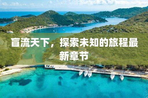 盲流天下，探索未知的旅程最新章節(jié)