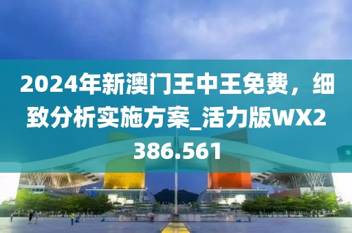 2024年新澳門王中王免費，細致分析實施方案_活力版WX2386.561